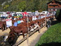 foire-abondance-plougoulm